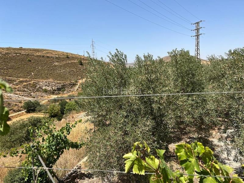 Foto 1dfc89b3-c730-4662-83fd-f402a5a42537. Masia a Villamena