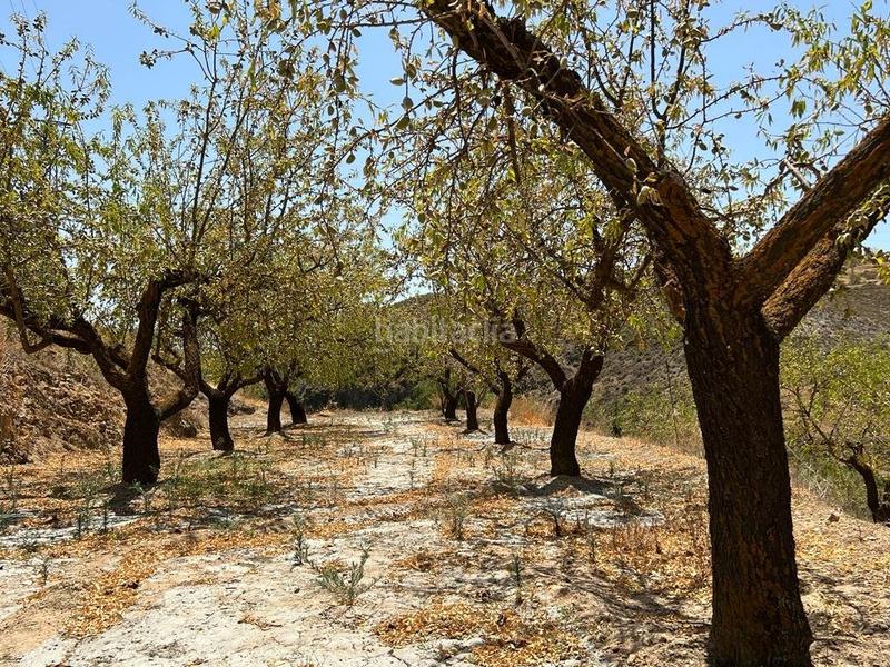 Foto 3c827d37-c217-44e9-b3e1-446fbc6c499e. Masia a Villamena