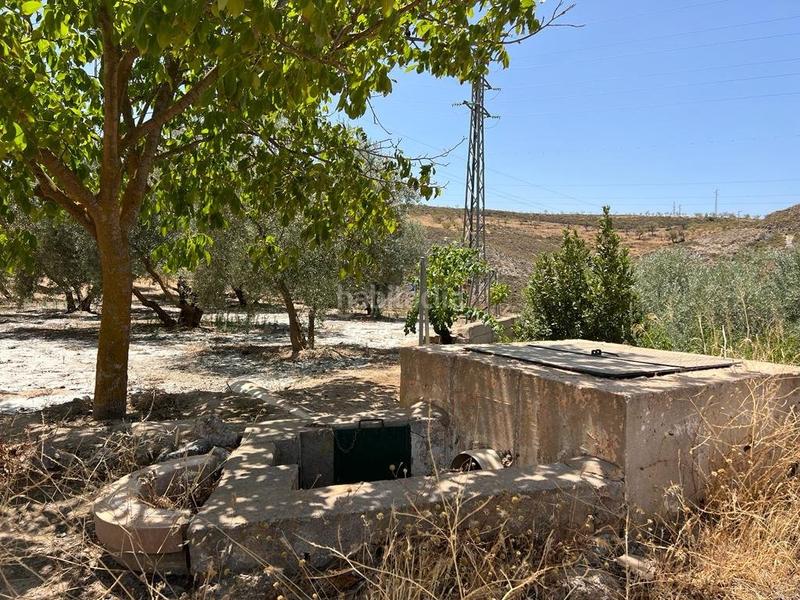 Foto 586b8bd6-42c5-4b80-bf9d-0bc85e699b89. Masia a Villamena