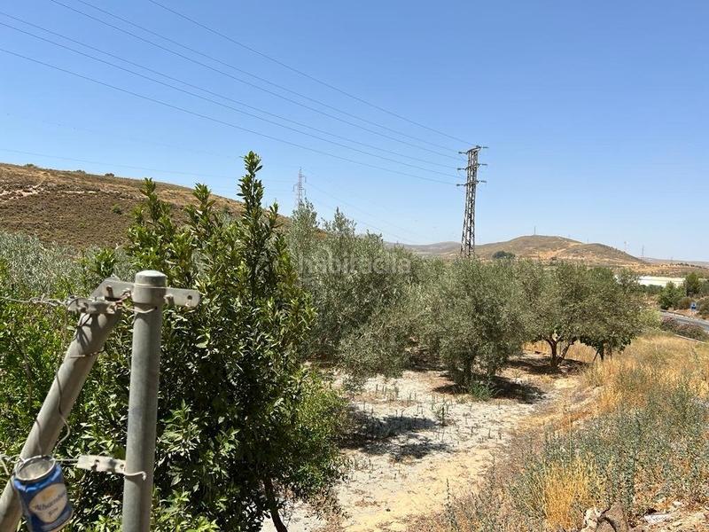 Foto 64122fbd-3d3f-4e20-84e0-b061dd2bbdca. Masia a Villamena