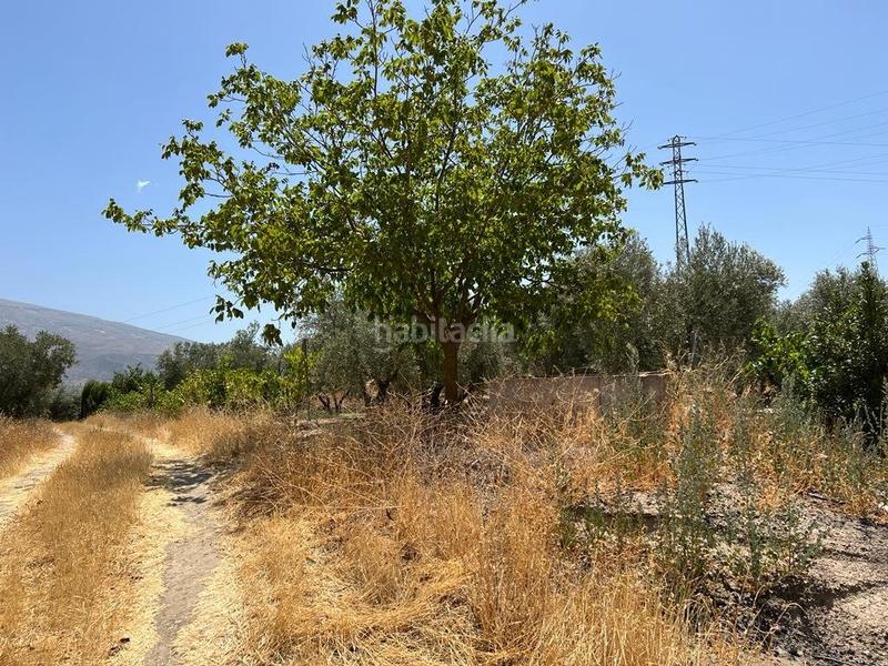 Foto 7c305a17-fc0f-42f9-808d-f0ed0b23722f. Masia a Villamena