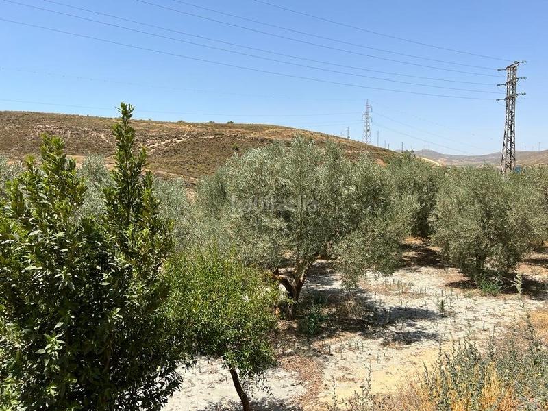 Foto 8e57860d-77e1-4716-a9ff-e1b9c403af96. Masia a Villamena