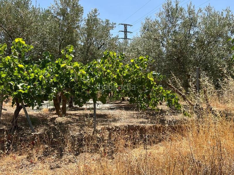 Foto 93ccc45d-50cb-46da-951a-3c8a7dadf75f. Masia a Villamena