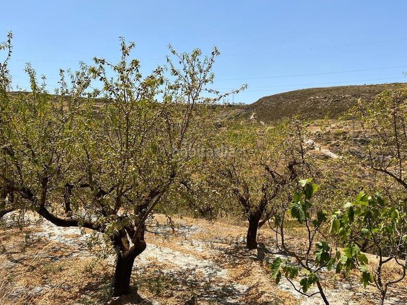 Foto 9d075eaa-2c6c-47cf-8b42-ca16aa6a06dc. Masia a Villamena