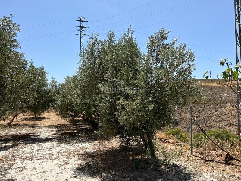 Foto e43ed180-ff8f-497f-bc43-e9e052d154af. Masia a Villamena