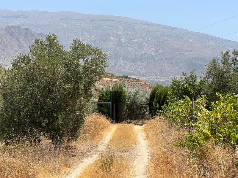 Foto e7e81550-fabe-4d50-9702-3bc4734d8501. Masia a Villamena