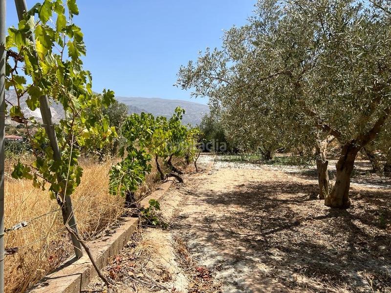 Foto f2f9e7bd-a744-4687-9bd8-0fb8cbef0572. Masia a Villamena