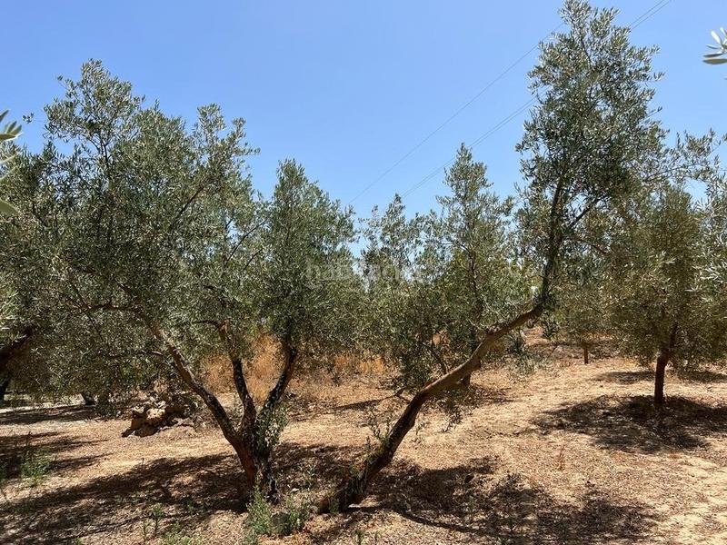 Foto f3b431aa-7f70-421c-997f-afc18136cc69. Masia a Villamena