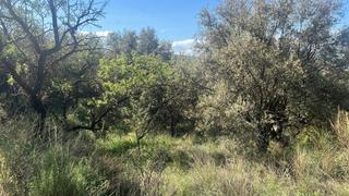 Masia en Valle (El). Finca rstica en el valle de lecrin