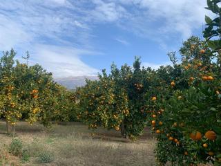 Masia en Lecrn. Finca rustica valle de lecrn restabal