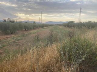 Masia a Albolote. Venta de parcela rustica, en albolote
