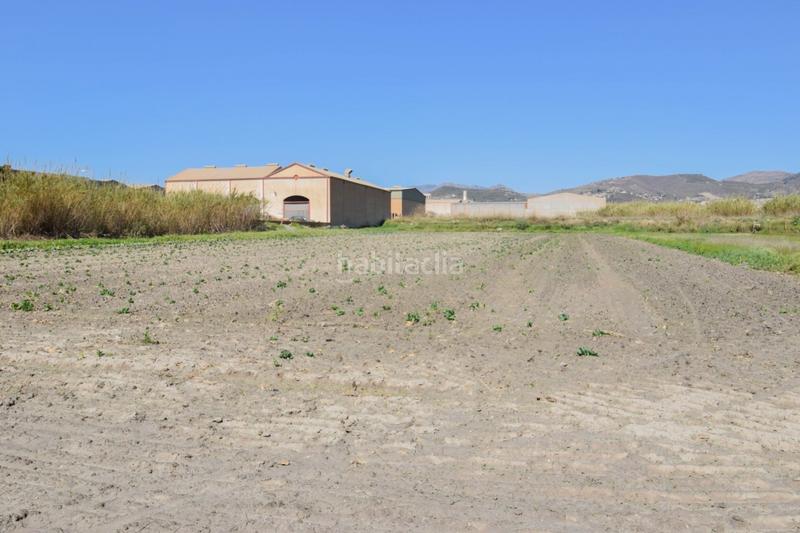 Foto 4d345cee-82ef-4e95-bea8-42844d2426c7. Terreny residencial a Motril ciudad Motril
