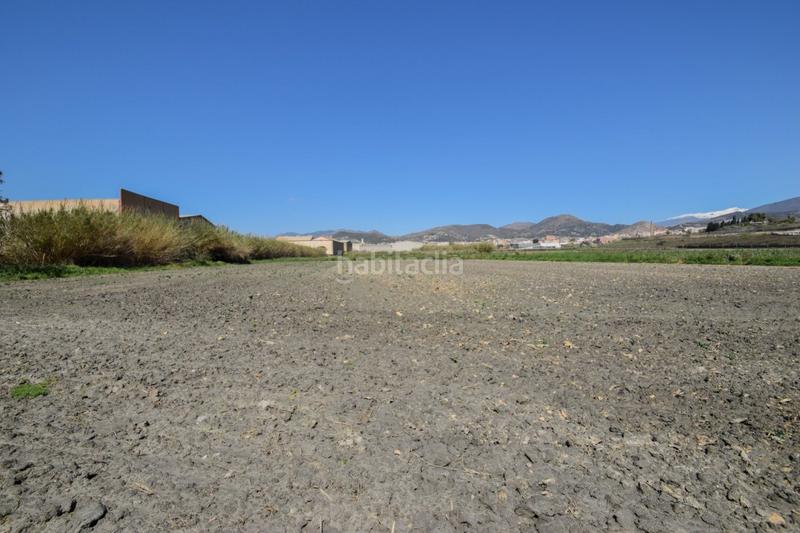 Foto e0aeea86-eee3-4835-a780-ac93021a95ae. Terreny residencial a Motril ciudad Motril