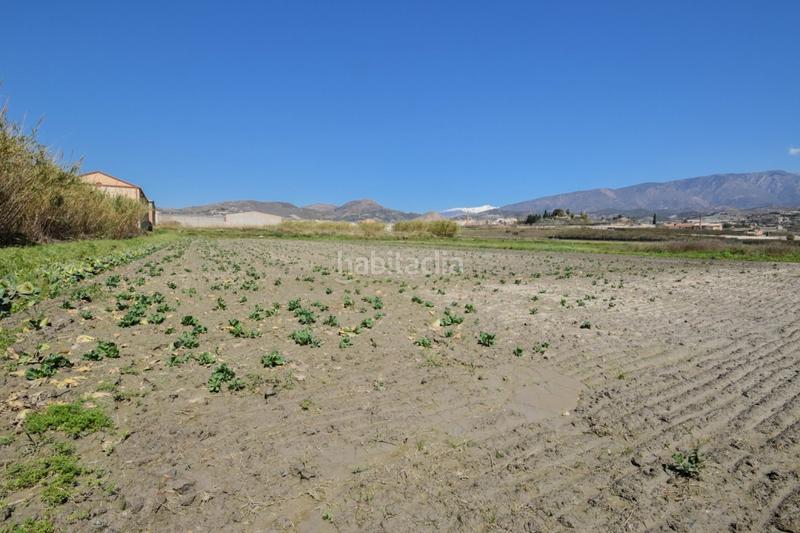 Foto 2cdb3b56-3d3e-4f1d-b734-5606279abb32. Residential plot in Motril ciudad Motril