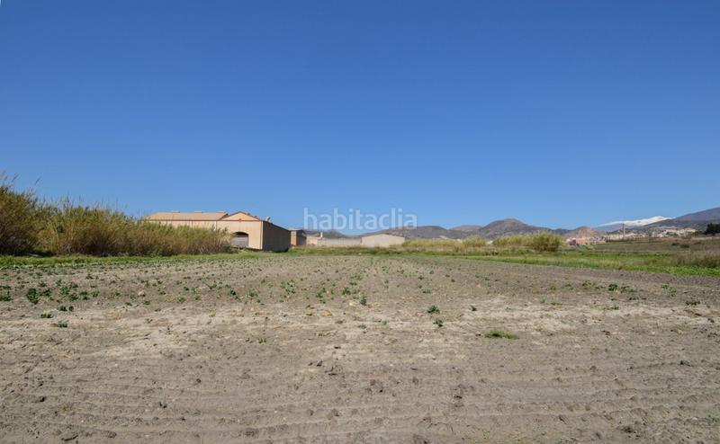 Foto 4fc565ea-37df-4a5a-a850-2a21aafb211b. Residential plot in Motril ciudad Motril