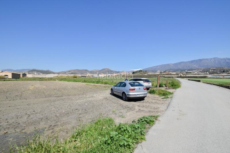 Foto 6991ee57-7440-4c53-a2ee-f1fa26e72f58. Residential plot in Motril ciudad Motril