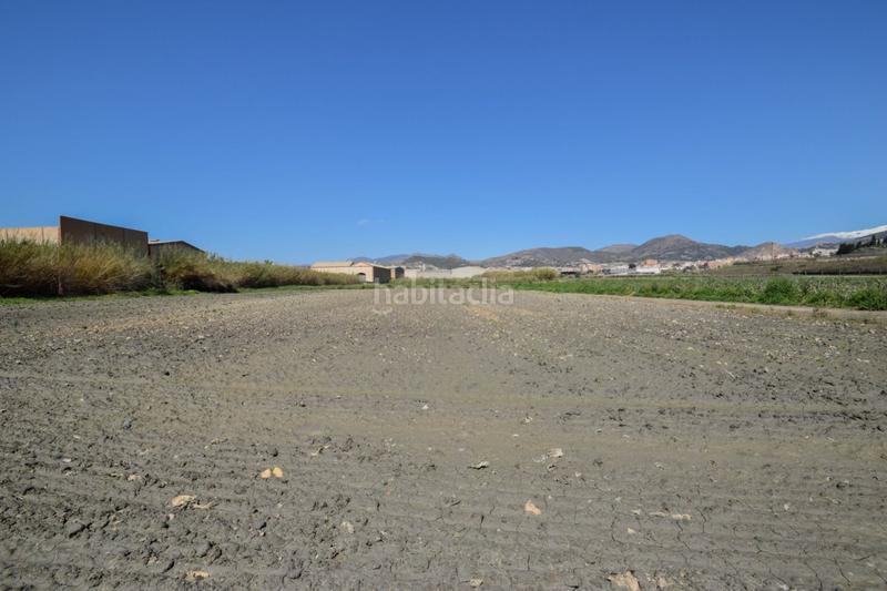 Foto 9e9e5a33-3f67-495e-8a46-e46ffbea3f70. Residential plot in Motril ciudad Motril