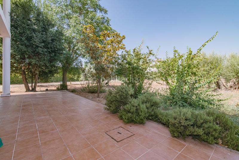 Foto 1fd690b6-c73d-4bcf-abf9-50b0ebb9758d. Chalet oportunidad única! se vende magnífica casa en esquina con amplia parcela en Atarfe