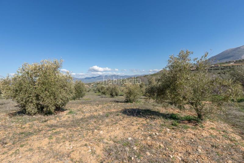 Foto 017b0fc4-b40f-4949-a84a-9ce23f1b8f89. Rural plot in Cogollos de la Vega