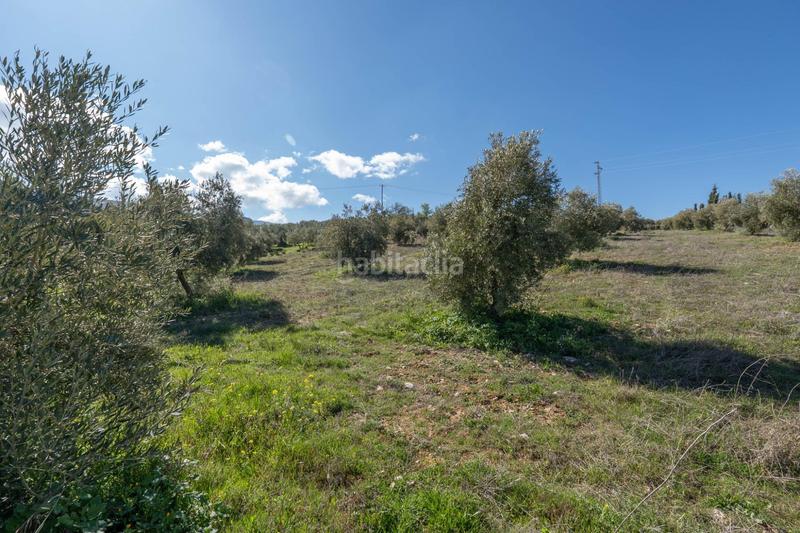 Foto 04ebb494-04ef-4e4b-a0d2-9101f0b0d7e6. Rural plot in Cogollos de la Vega