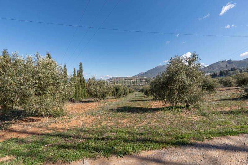 Foto 19b843e9-af36-45d8-902d-751456b277af. Rural plot in Cogollos de la Vega