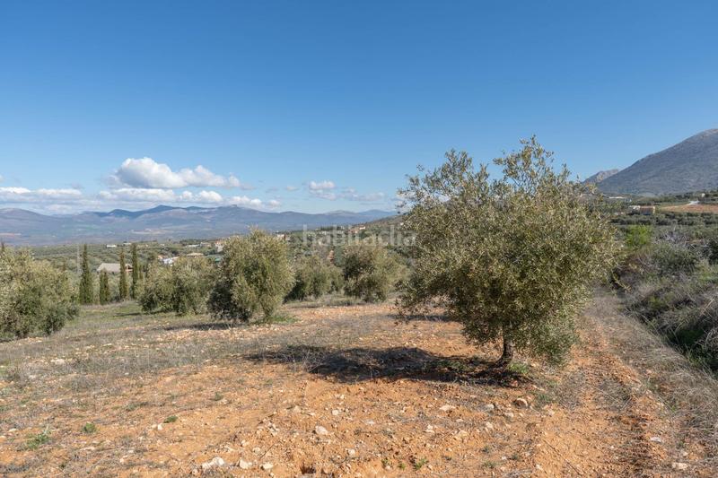 Foto c13df015-0c39-433d-8fef-c402ed04de76. Rural plot in Cogollos de la Vega