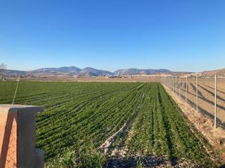 Masia  Carretera de fuente vaqueros a atarfe. Finca de regadio