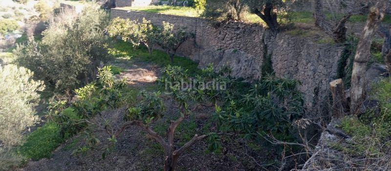 Foto 44b3edac-6744-4350-bc61-a03ce94d7fb4. Masia a Vélez de Benaudalla