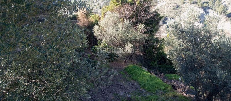 Foto c8485f23-2dcd-4566-825e-054f889df73b. Masia a Vélez de Benaudalla