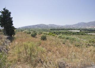 Masia  Pago magdalite, parque puntal de jariz. Finca rústica en el puntal de jariz.