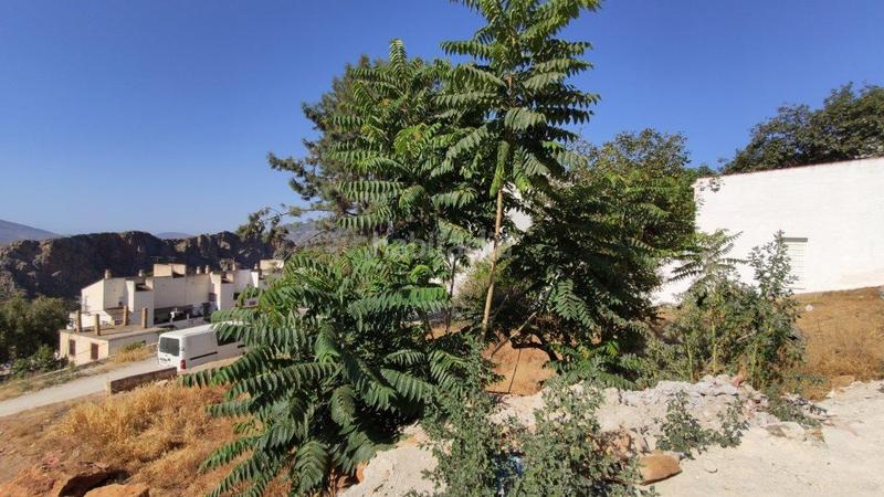 Foto afee10fb-84c8-4412-8218-2e593a67a71f. Terrain résidentiel dans Lanjarón