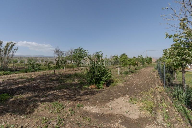 Foto d88e2933-59fa-4ba2-a5d8-f59621954319. Xalet amb calefacció aparcament piscina a Guadix
