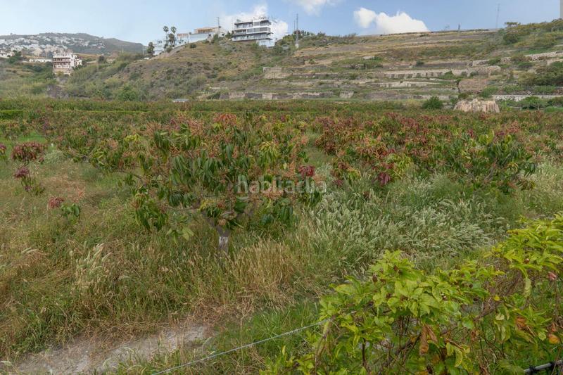 Foto 19c09dd3-157a-4c17-9768-5d7425df2321. Terreny residencial a carretera malaga (cal) 74 a Salobreña