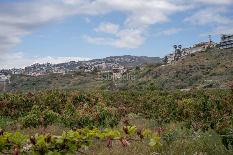 Foto a545407b-7511-46e4-911e-3fe8ce52111a. Terreny residencial a carretera malaga (cal) 74 a Salobreña