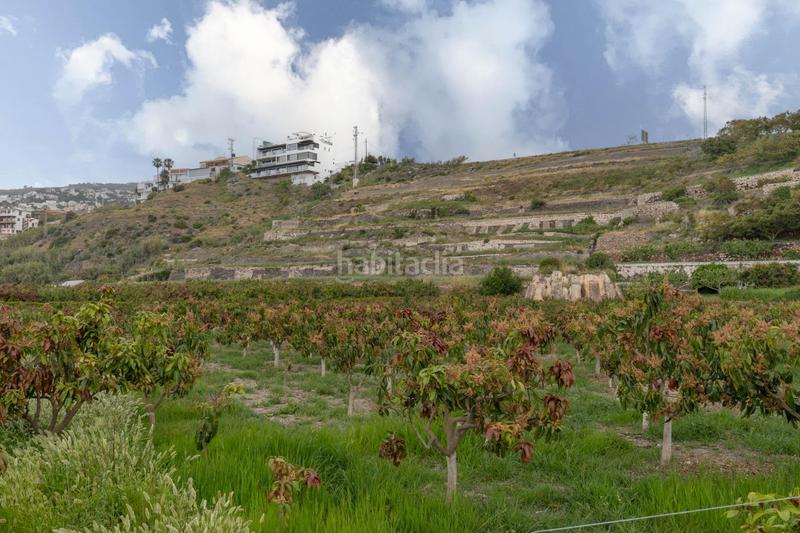 Foto bacf2b6c-8e37-4305-8739-7ae3ce5bca28. Terreny residencial a carretera malaga (cal) 74 a Salobreña