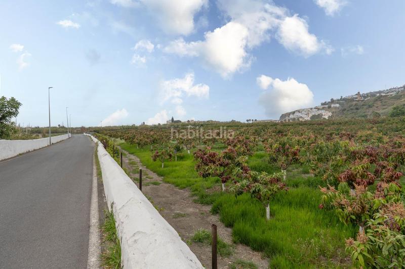 Foto f26cfd93-13bb-48aa-be04-00473ea2c9c2. Terreny residencial a carretera malaga (cal) 74 a Salobreña