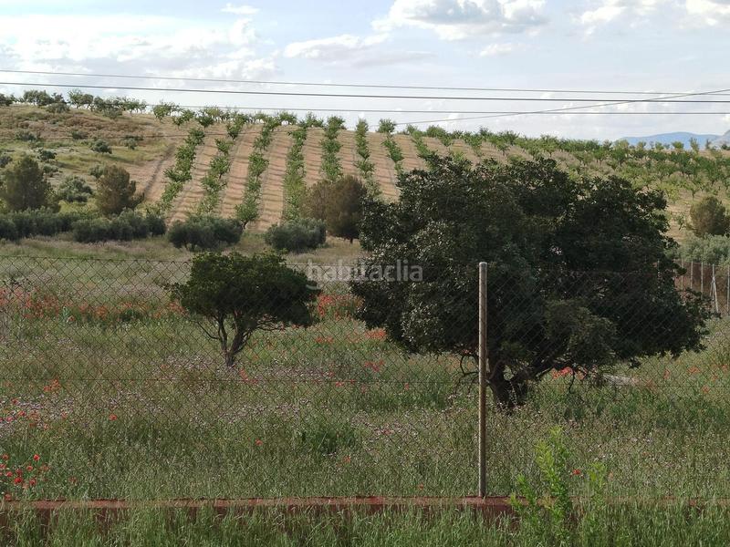 Foto 046bc7d3-8c3b-4d69-995b-7809bf4eafeb. Propriété dans Residencial Triana - Barrio Alto Gabias (Las)