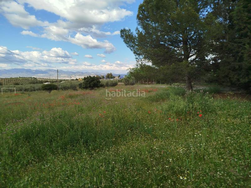 Foto 076c0b43-feda-4f6d-aabb-04234dfc741a. Propriété dans Residencial Triana - Barrio Alto Gabias (Las)