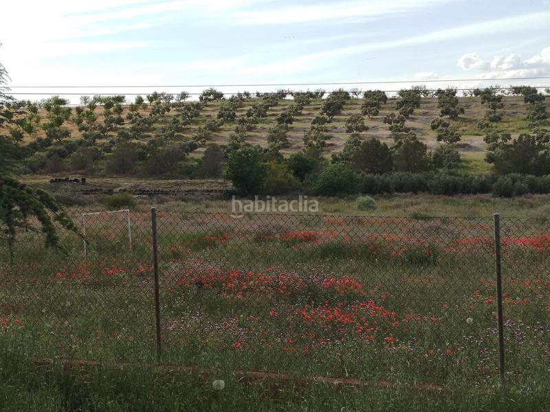 Foto 141d858b-7248-45ea-9c89-54e8d4fef99f. Propriété dans Residencial Triana - Barrio Alto Gabias (Las)