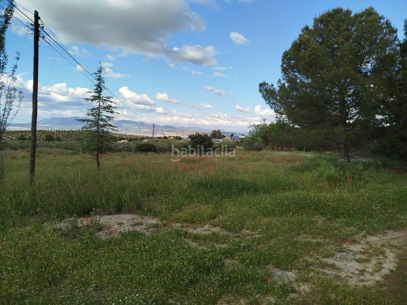 Foto 2220ed0b-6ca2-453a-a37d-d5183edb3cca. Propriété dans Residencial Triana - Barrio Alto Gabias (Las)