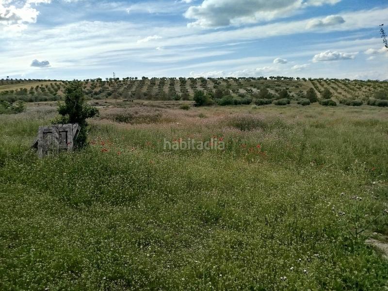 Foto 25e298d3-53de-4766-ad03-d19d95846b3b. Propriété dans Residencial Triana - Barrio Alto Gabias (Las)