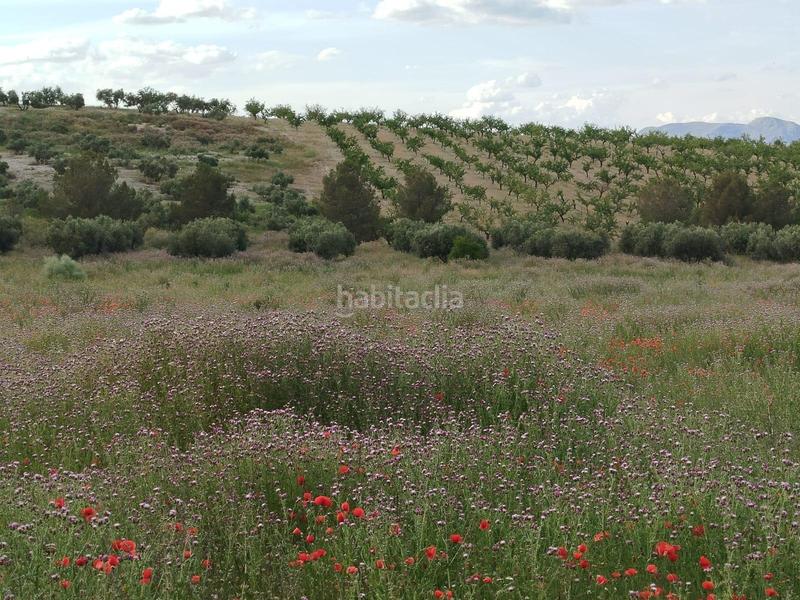 Foto 2b219d23-0704-4ce5-b0d5-4049e7c69265. Propriété dans Residencial Triana - Barrio Alto Gabias (Las)