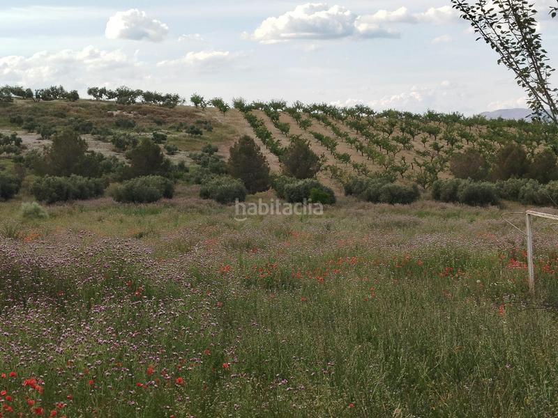 Foto 3cb90408-f1c9-4289-8aef-f64df92a2ad0. Propriété dans Residencial Triana - Barrio Alto Gabias (Las)