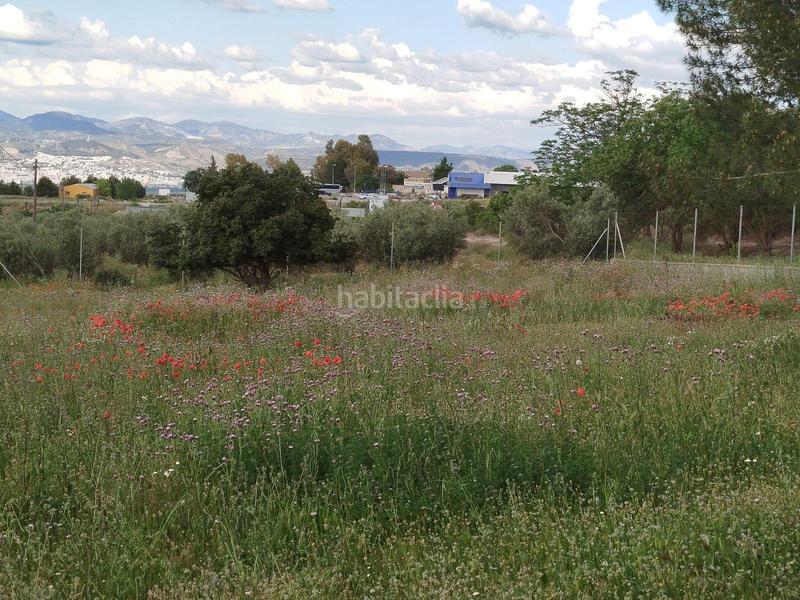 Foto 5bd8dd2b-f990-42fe-811c-a8666b8572df. Propriété dans Residencial Triana - Barrio Alto Gabias (Las)