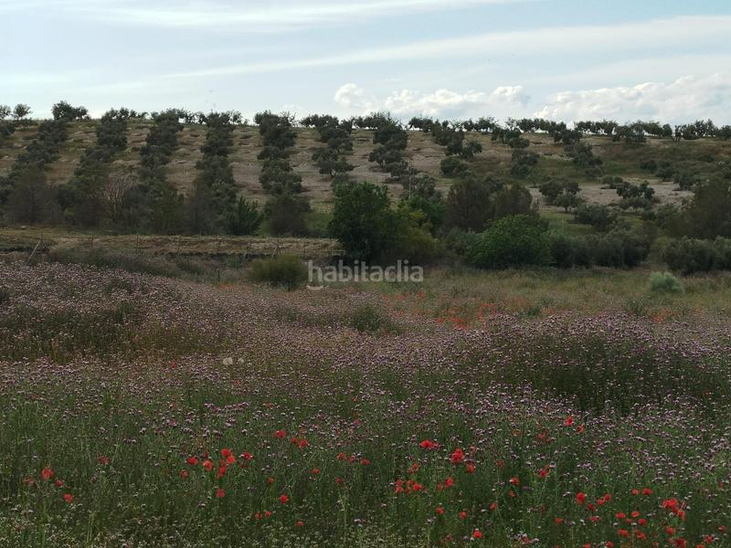 Foto 83351a48-41c8-4347-b9fc-269b6f56107c. Propriété dans Residencial Triana - Barrio Alto Gabias (Las)