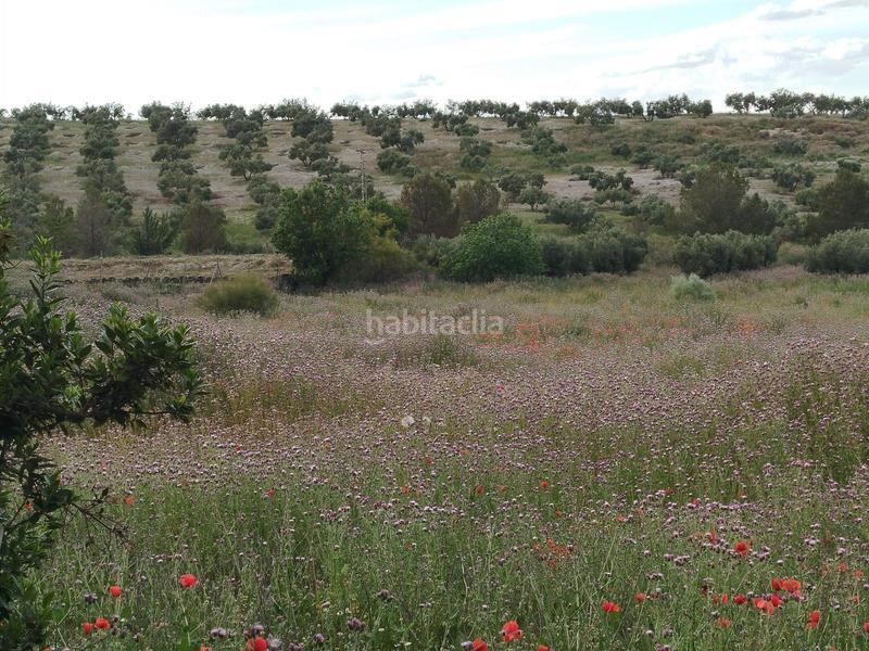 Foto 89598be2-751b-4bf0-851c-2335d70190fa. Propriété dans Residencial Triana - Barrio Alto Gabias (Las)