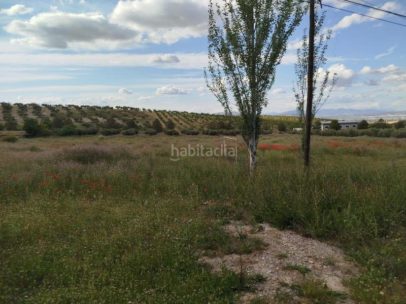 Foto a540c163-887d-4fd0-93ae-f8204057fd88. Propriété dans Residencial Triana - Barrio Alto Gabias (Las)