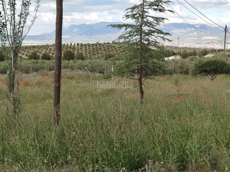 Foto b911c1be-5eec-4f45-b828-aa491411d3bb. Propriété dans Residencial Triana - Barrio Alto Gabias (Las)