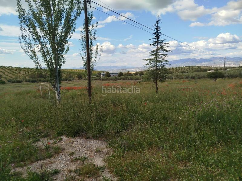 Foto bbbba1ea-e06b-40ed-8ca5-d5b7c9052a2b. Propriété dans Residencial Triana - Barrio Alto Gabias (Las)