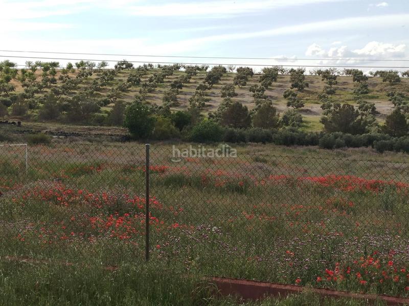 Foto d6439b85-6c72-4bdb-8b8c-4437daeb90c2. Propriété dans Residencial Triana - Barrio Alto Gabias (Las)